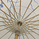 photo-2976760