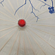 photo-2976758